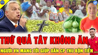 🔴NGƯỜI CHÂU ÂU KHÓ TIN Team Quang Linh Vlog QUYẾT ĐỊNH TÁO BẠO ĐƯA NÔNG SẢN VIỆT GIÁ TRỊ CAO GIÚP CP [upl. by Bullough657]