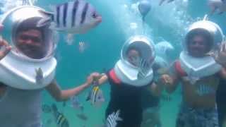 Things to do in Bali Seawalker  Coral plantation Fish feeding  Bali [upl. by Anavlis]