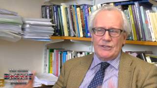 Professor Patrick Minford Full Interview [upl. by Orfield]