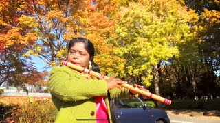 Beautiful Flute Music  Raag Bhairavi  Indian Classical Music  Hindustani Raga  Bansuri  Banshee [upl. by Odlanyar]