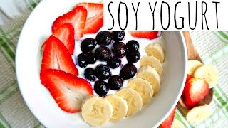 SOY YOGURT RECIPE quick amp easy [upl. by Ahsiruam]