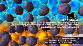 Animation Dispositif Cryolipolyse Clatuu de Classys  LCDLasers [upl. by Anier]