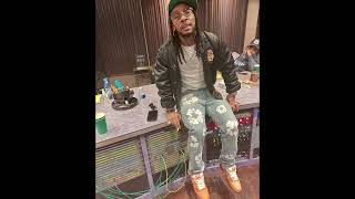 FREE Shordie Shordie Type Beat  quotIce Walkquot  Trap Type Beat 2024 [upl. by Nabois947]