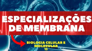 ESPECIALIZAÇÕES DE MEMBRANA  BIOLOGIA CELULAR E MOLECULAR  AULA 15 [upl. by Ahterod]