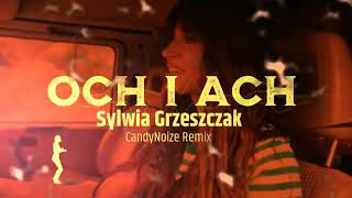 SYLWIA GRZESZCZAK  OCH I ACH  CANDYNOIZE REMIX [upl. by Acinoreb]