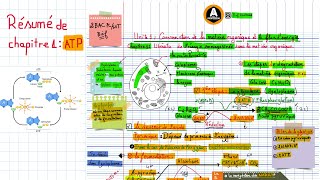 Résume de chapitre 1 libération de lénergie emmagasinée dans la matière organique [upl. by Nrubliw]