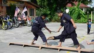 DEMO SILAT CHEKAK SILAT PAPAN SEKEPING PSCSPSM  PUCHONGOKT 2012 [upl. by Retla]