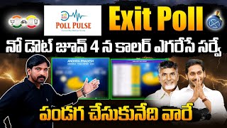 Poll Pulse Survey EXIT POLL SENSATIONAL Reports Over AP Elections 2024  Chandrababu vs YS Jagan [upl. by Aissatsana]