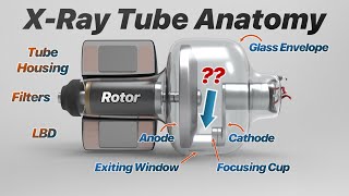 XRay Tube Anatomy XRay Production Explained [upl. by Azrim]