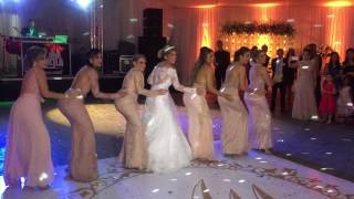 Vídeo  Dança das Madrinhas  Casamento Alcides e Mari [upl. by Ashraf542]