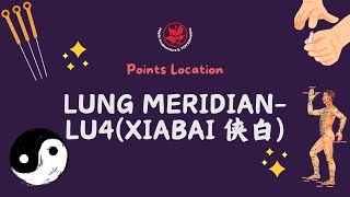 Points location and needlingLung MeridianLU4 Xiabai 侠白穴取穴及针刺 [upl. by Feriga]