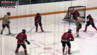 Top 10 NSMMHL goals from 201415 season [upl. by Alger959]