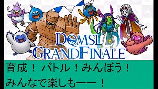 【DQMSL】サービス終了まで育成もバトルもみんぼうも全部楽しもー！！ [upl. by Madra]