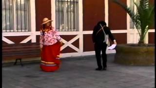 CUECA DE TOCONAO [upl. by Gaye173]