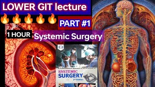 Systemic Surgery lecture 1 HOUR 🔥 💓 👍 LOWER GIT Ulcerative colitis corhon disease Cancer [upl. by Ferro774]