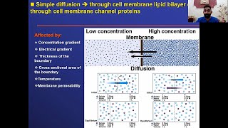 Body Fluid Physiology part 3 [upl. by Annairt143]