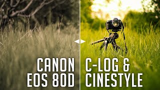 Make Your Canon Videos More Cinematic Canon eos 80D [upl. by Cyndi]