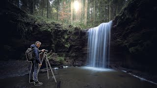 FOTOGRAFIEREN LERNEN in der Natur mit der OM1 und Live ND [upl. by Ahtabat]