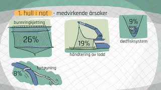 Årsaker til rømming av fisk [upl. by Eda]