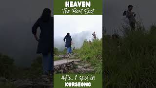 Kurseong Sightseeing Top 10 kurseong kurseongtour northbengaltour [upl. by Noraf]