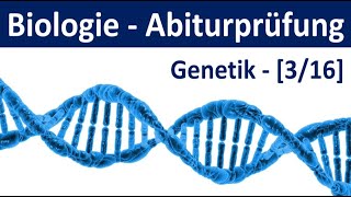 Biologie Abiturprüfung  Genetik  Tipps und Aufgabentypen Abitur Biologie 316 [upl. by Os]