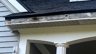 How to Remove and Replace Fascia Board [upl. by O'Carroll]