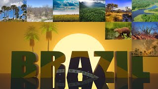 Conheça os Domínios MORFOCLIMÁTICOS do Brasil [upl. by Oskar]