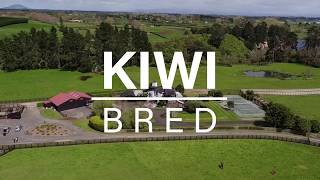 Kiwi Bred 2017  Episode 4 [upl. by Egarton950]