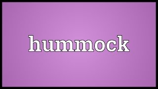 Hummock Meaning [upl. by Eecats]