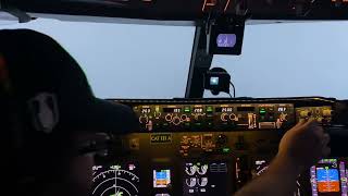 Boeing 737 Home Cockpit Simulator Overcast P3D [upl. by Airtal]