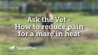 Ask the Vet  How to reduce pain for a mare in heat [upl. by Derrick999]