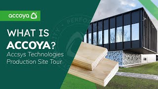 What is Accoya Sustainable Wood  Accsys Technologies Site Tour [upl. by Assirt]