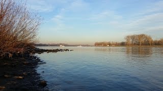 Am Rhein Fähre zwischen Drusenheim und Greffern [upl. by Latrice805]