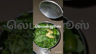 Pani recipe பானிபூரி பானி ரெசிபிshortvideo [upl. by Enitsirhc]