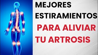 ✅Los MEJORES ESTIRAMIENTOS para aliviar tu dolor DE ARTROSIS [upl. by Giesser625]