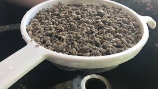 How To Sterilize Pumice For Potting Medium [upl. by Nivram934]