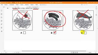 Cambridge English Preliminary 4 Listening Test 2 Part 1 [upl. by Xirtaeb379]