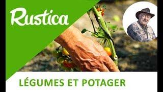 Tailler et tuteurer les tomates cultivées sous tunnel [upl. by Darya]