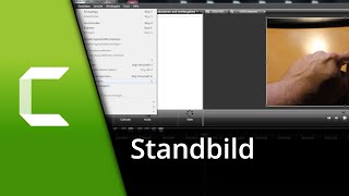 Camtasia Standbild  Camtasia Bild einfrieren ✅ Tutorial [upl. by Aphra]