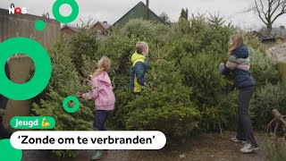 Wat gebeurt er met de 25 miljoen Nederlandse kerstbomen [upl. by Yona]