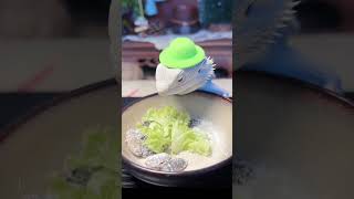 鬆狮蜥吃播虫虫绿帽搞笑 funny pets 宠物 [upl. by Oriaj172]