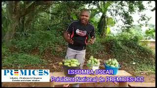 LE MADE IN CAMEROON PROMU par le PREMISICC cameroun agriculture aliments fruits manger [upl. by Schuyler]