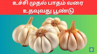 பூண்டு மருத்துவ நன்மைகள்  Top 10 Health Benefits of Garlic in Tamil  poondu [upl. by Sefton]