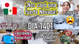 Compras para la Cena NAVIDEÑA🎄 Cayó una Súper Nevada 🌬️ ☃️  Ruthi San ♡ 221223 [upl. by Naesyar]