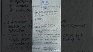 Skin  Anatomy and physiology humanskin skinanatomy skinphysiologyskinnotesshotrsviralvideo [upl. by Eeral]