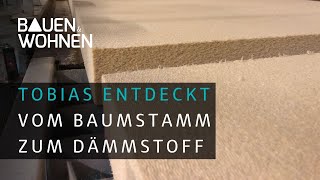 Vom Baumstamm zur Holzfaserdämmung  Tobias entdeckt [upl. by Goldsmith]