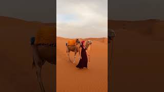 The best of Morocco Deserts tours morocco marrakech travel explore [upl. by Naraj67]