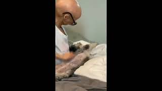 Adalia Rose last video adalia Rose death news [upl. by Perl449]