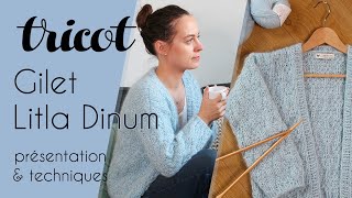 Gilet Litla Dinum au tricot pour Idées à Faire 43  présentation amp explication de points [upl. by Kizzie]