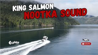 NOOTKA SOUND by Drone  Catching a King  SPECTACULAR 🎣 [upl. by Enninaej]